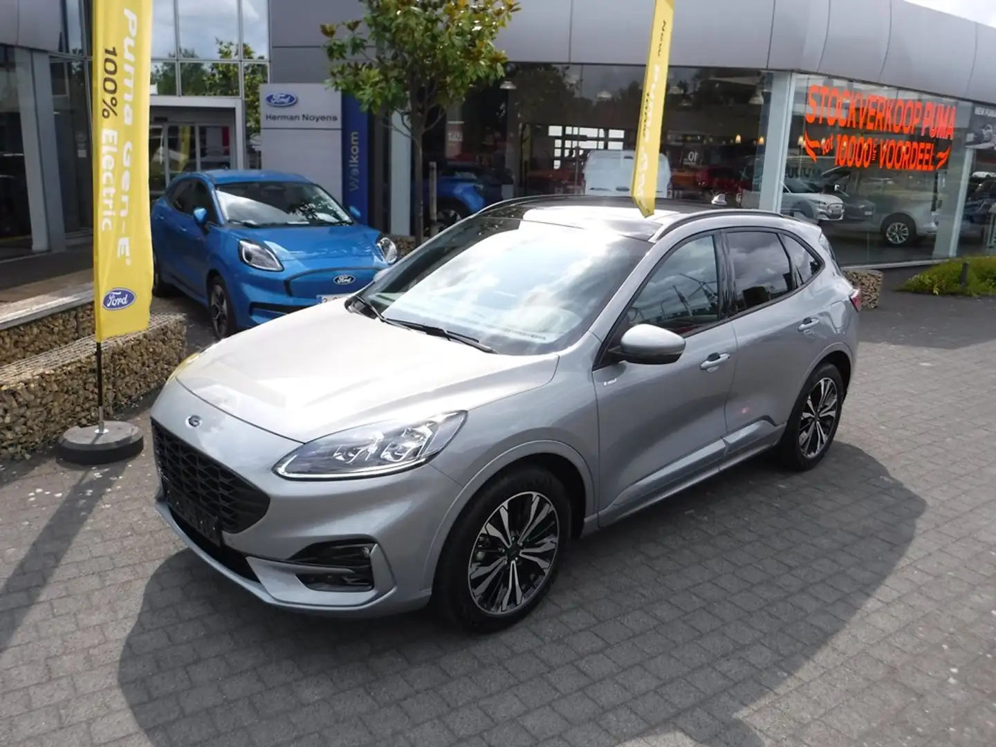 Ford Kuga ST-Line FHEV AUT Grau - 2
