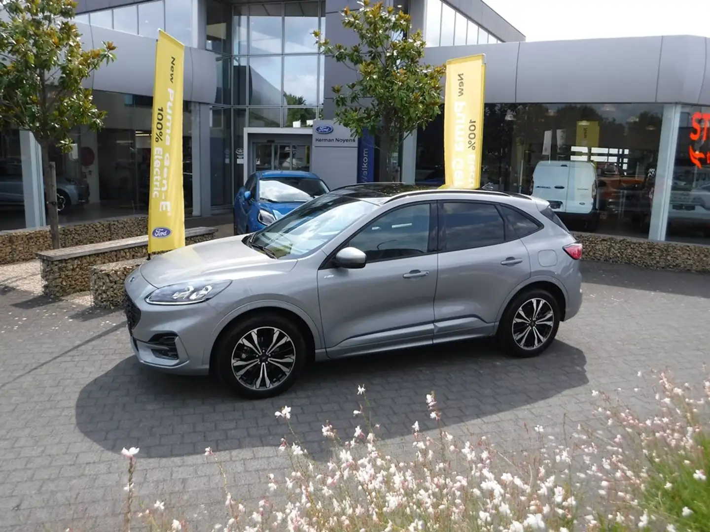 Ford Kuga ST-Line FHEV AUT Grau - 1