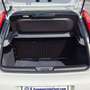 Fiat Punto VAN 1.3 M-JET 5 PORTE 4 POSTI - 2018 Weiß - thumbnail 16