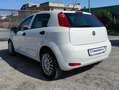 Fiat Punto VAN 1.3 M-JET 5 PORTE 4 POSTI - 2018 Weiß - thumbnail 5