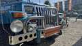 Jeep Wrangler YJ Sehr guter Zustand! Blau - thumbnail 41
