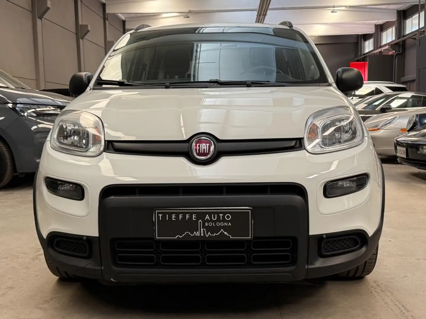 Fiat Panda 1.0 FireFly S&S Hybrid  *NO OBBLIGO FINANZIAMENTO* Bianco - 2