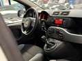 Fiat Panda 1.0 FireFly S&S Hybrid  *NO OBBLIGO FINANZIAMENTO* Bianco - thumbnail 11