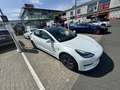 Tesla Model 3 Standard Reichweite Plus Hinterradantrieb Weiß - thumbnail 3