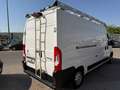 Citroen Jumper BlueHDi 103KW (140) Furgón 35 Heavy L3H2 Blanco - thumbnail 4
