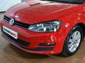 Volkswagen Golf Edition 1.2 TSI 110CV BMT DSG Rouge - thumbnail 8
