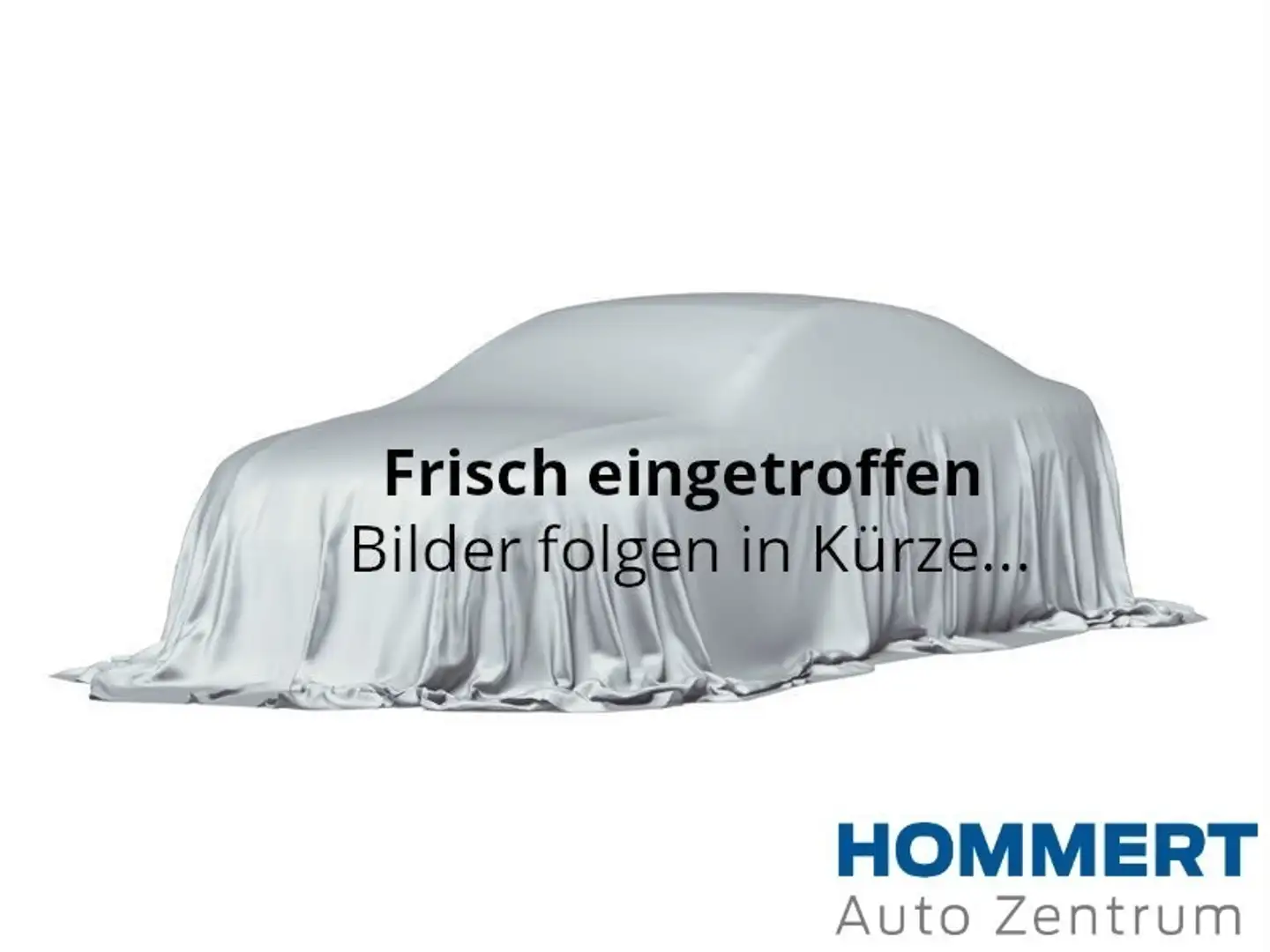 Ford Kuga 1.5 EcoBoost Titanium *AHK*ACC*Kamera*Park* Blau - 2