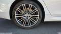 BMW 530 530dA Touring xDrive Blanco - thumbnail 10