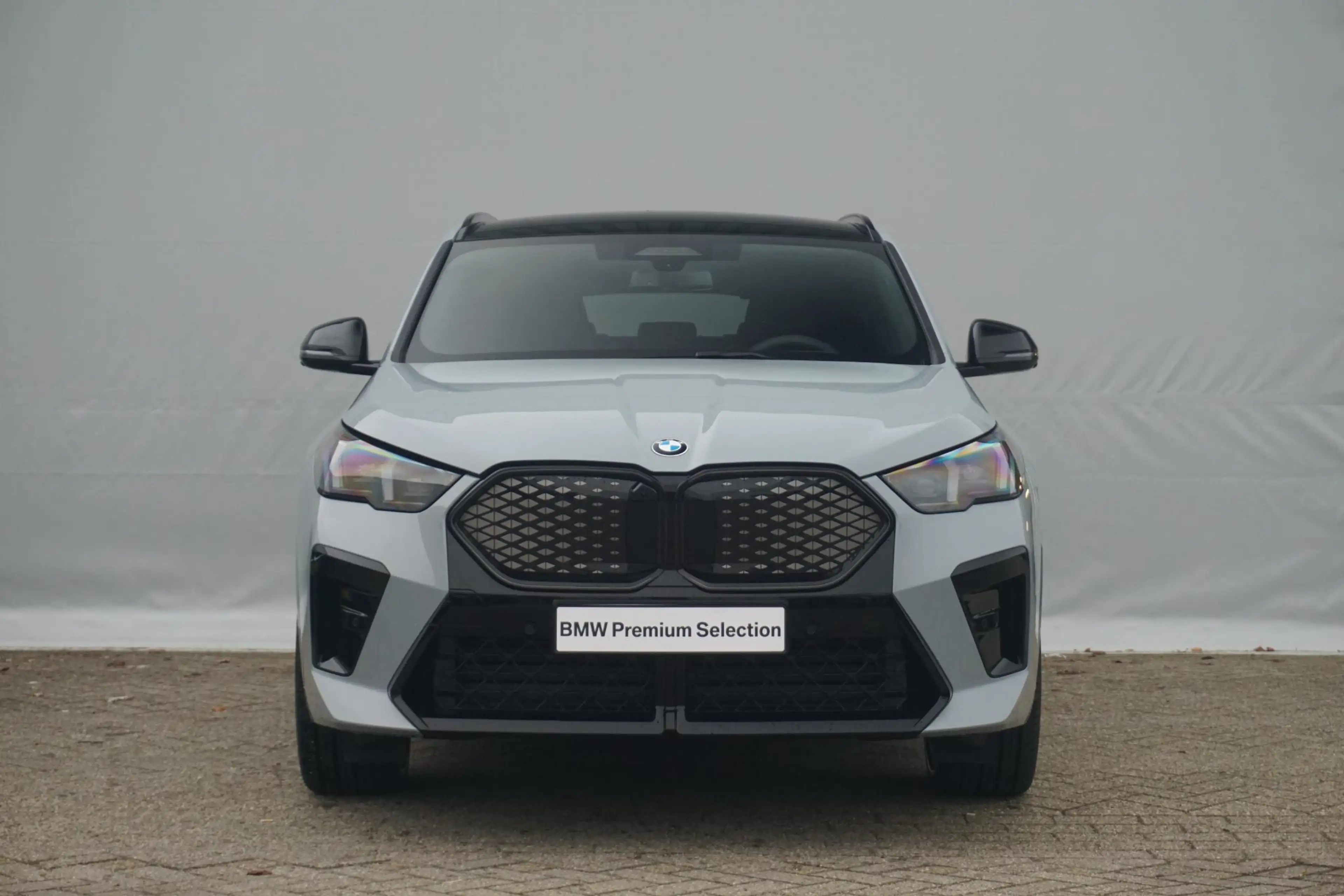 BMW iX2 eDrive20 | M Sportpakket Pro | Trekhaak | Schuif-k — photo 3