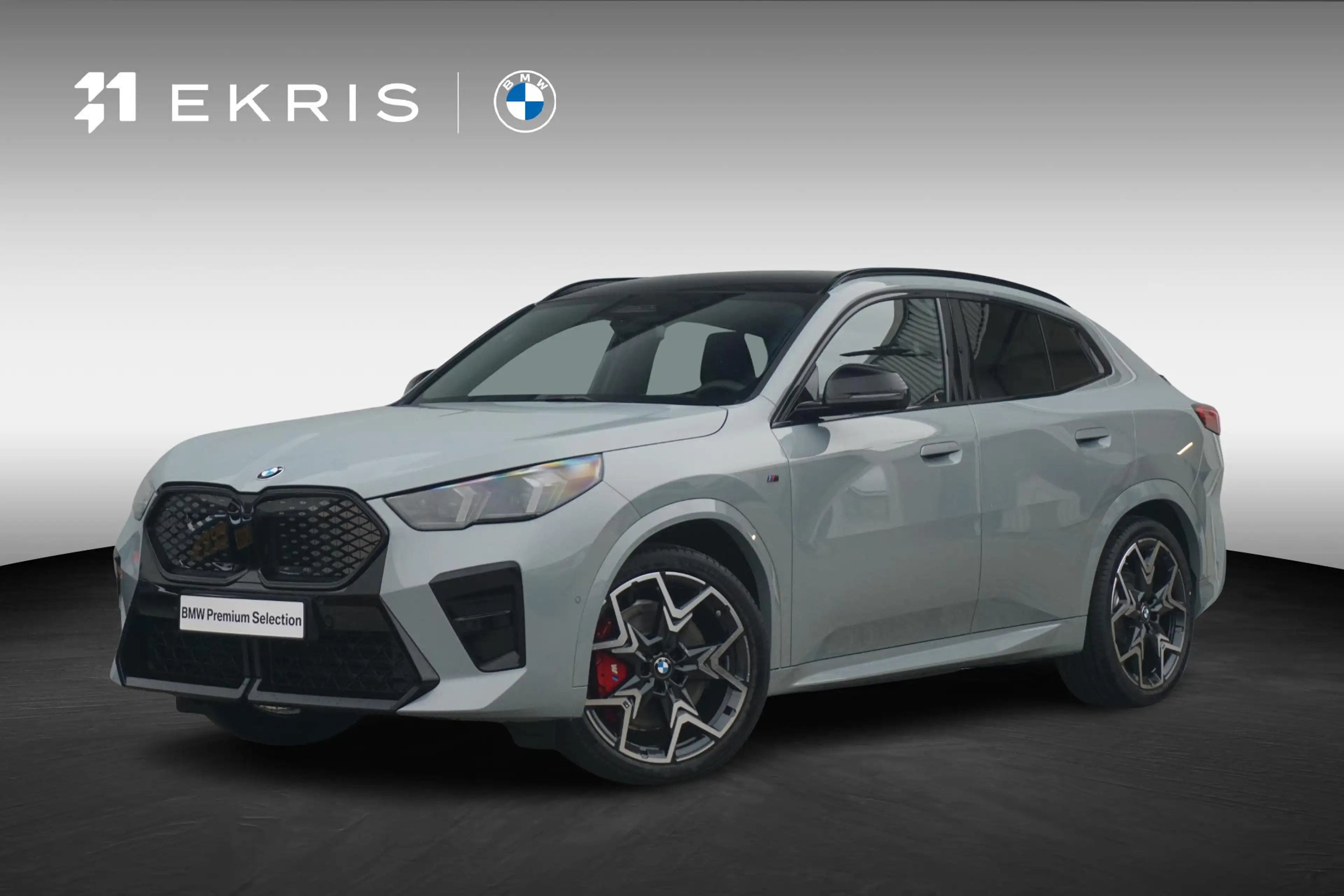 BMW iX2 eDrive20 | M Sportpakket Pro | Trekhaak | Schuif-k