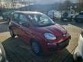 Fiat Panda Panda 1.0 FireFly S&S Hybrid Pandina - DISPONIBIL Blau - thumbnail 7