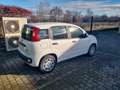 Fiat Panda Panda 1.0 FireFly S&S Hybrid Pandina - DISPONIBIL Blau - thumbnail 12