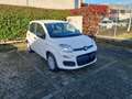 Fiat Panda Panda 1.0 FireFly S&S Hybrid Pandina - DISPONIBIL Blau - thumbnail 11