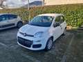 Fiat Panda Panda 1.0 FireFly S&S Hybrid Pandina - DISPONIBIL Blau - thumbnail 10