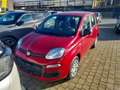 Fiat Panda Panda 1.0 FireFly S&S Hybrid Pandina - DISPONIBIL Blau - thumbnail 6