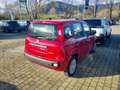 Fiat Panda Panda 1.0 FireFly S&S Hybrid Pandina - DISPONIBIL Blau - thumbnail 8