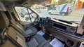 Ford Transit FT 310 L2 Van Trend 130 Blanco - thumbnail 6