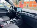 Ford Kuga 2.5 PHEV / ST Line / Winter Pack Black - thumbnail 17