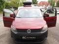 Volkswagen Caddy 1,2TSI Roncalli 5-Sitze - Camper - Rot - thumbnail 2