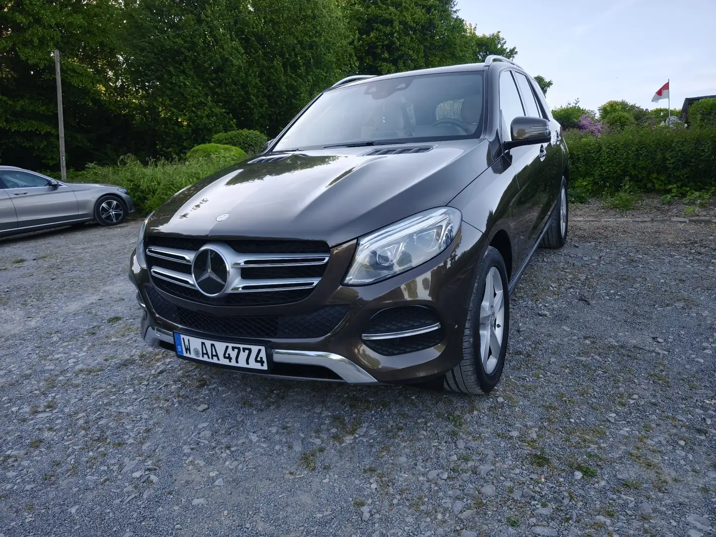 Mercedes-Benz GLE 350 GLE 350 d 4Matic (166.024) - 1