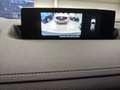 Mazda MX-30 MX-30 e-SKYACTIV FIRST EDITION Blanc - thumbnail 1