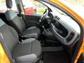 Fiat Panda Panda 1.2 Easy Arancione - thumbnail 14