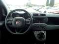 Fiat Panda Panda 1.2 Easy Arancione - thumbnail 13