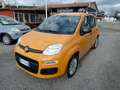 Fiat Panda Panda 1.2 Easy Arancione - thumbnail 3