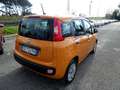 Fiat Panda Panda 1.2 Easy Arancione - thumbnail 5