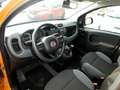 Fiat Panda Panda 1.2 Easy Arancione - thumbnail 7
