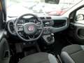 Fiat Panda Panda 1.2 Easy Arancione - thumbnail 11