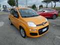 Fiat Panda Panda 1.2 Easy Arancione - thumbnail 1