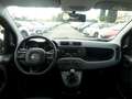 Fiat Panda Panda 1.2 Easy Arancione - thumbnail 12