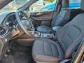 Ford Kuga ST-Line ECoBLUE TECHNO-/WINTERPAKET ACC BLiS HEAD- Schwarz - thumbnail 5