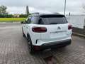 Citroen C5 Aircross BlueHDi 130 S&S EAT8 Max Bianco - thumbnail 5