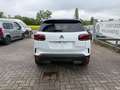 Citroen C5 Aircross BlueHDi 130 S&S EAT8 Max Bianco - thumbnail 6