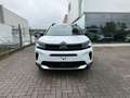 Citroen C5 Aircross BlueHDi 130 S&S EAT8 Max Bianco - thumbnail 13