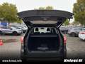 Ford Kuga Titanium 1.5 EcoBoost Winter-Paket Technik-Paket P Grau - thumbnail 9