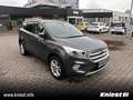 Ford Kuga Titanium 1.5 EcoBoost Winter-Paket Technik-Paket P Grau - thumbnail 7