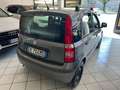 Fiat Panda Panda 1.2 easypower Dynamic Gpl 69cv Grigio - thumbnail 6