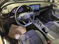 CUPRA Formentor 1.5 TSI DSG Gris - thumbnail 6