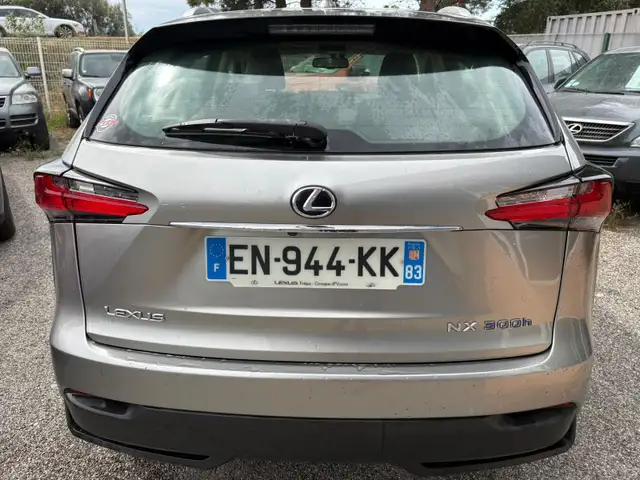 Lexus NX view 4
