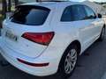 Audi Q5 Q5 2.0TDI Ambition 150 Ambition Blanco - thumbnail 6