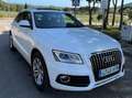 Audi Q5 Q5 2.0TDI Ambition 150 Ambition Blanco - thumbnail 1
