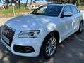 Audi Q5 Q5 2.0TDI Ambition 150 Ambition Blanco - thumbnail 3