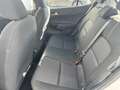 Kia Picanto 1.0 CVVT First Edition Clima Cruise Camera Apple c Wit - thumbnail 8