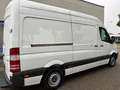 Mercedes-Benz Sprinter 313 CDi Kasten H+Lang Euro5 1.Hand+ Weiß - thumbnail 4