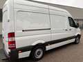 Mercedes-Benz Sprinter 313 CDi Kasten H+Lang Euro5 1.Hand+ Weiß - thumbnail 14