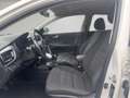 Kia Stonic Vision 1,4l Navi Klimaautom DAB SHZ LenkradHZG Spu Wit - thumbnail 7