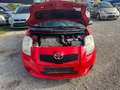 Toyota Yaris Luna Rot - thumbnail 12